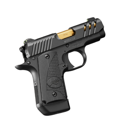 Buy Kimber Micro 9 ESV (Black) 9mm Pistol Online